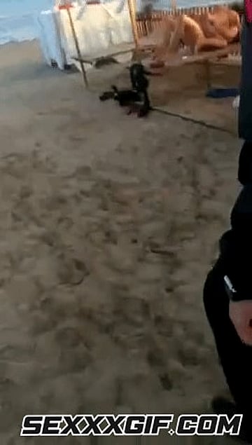 Amateur Beach Exhibition: Public Sex on the Sand