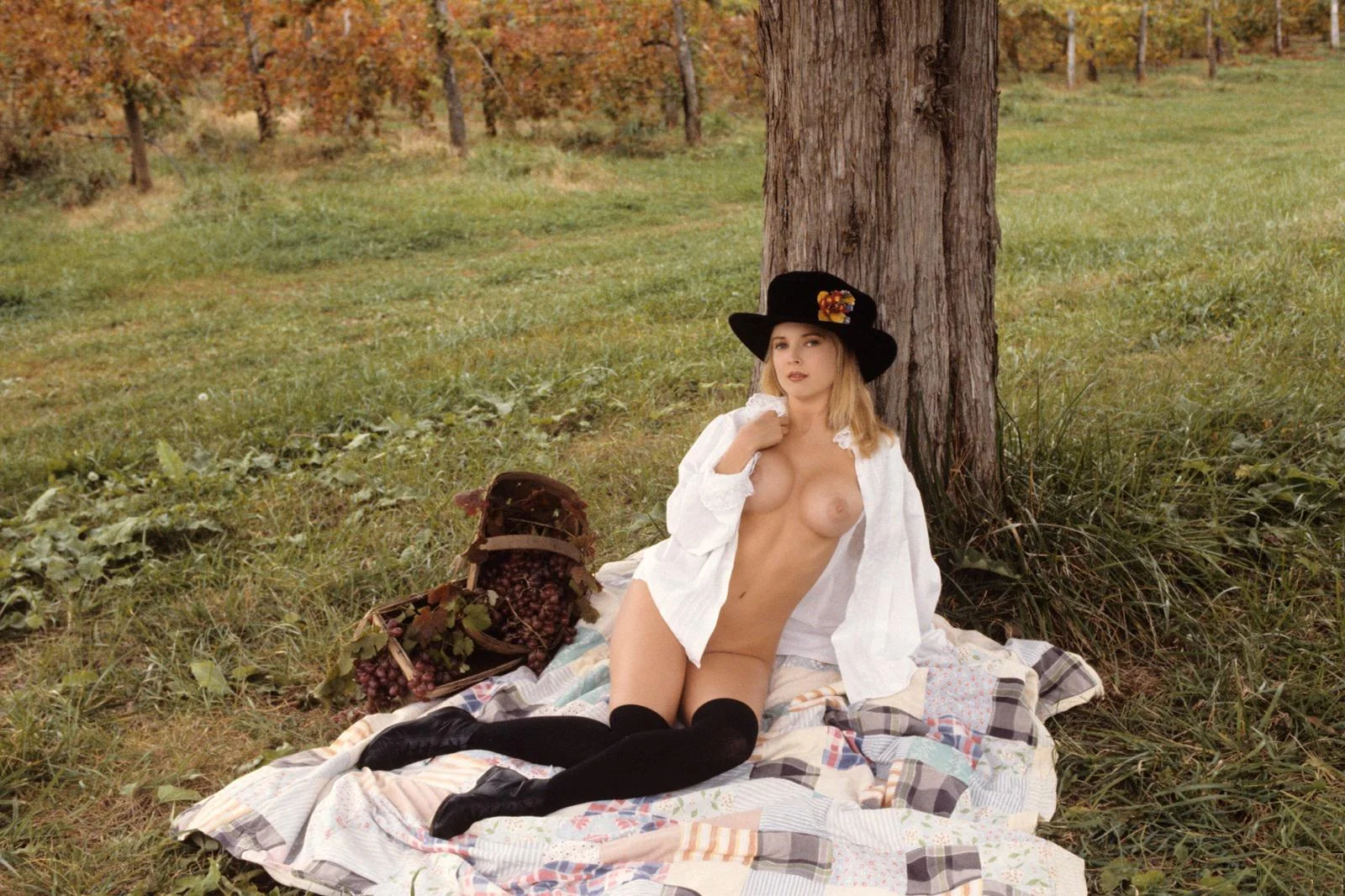 Falcon's Lazy Sunday: Spread & Ready for Fun picture 1 of 1