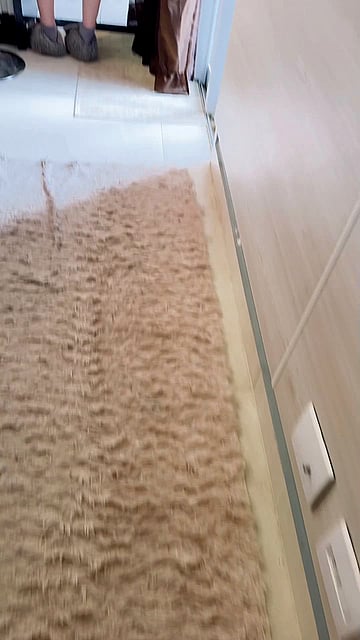 Watch This Horny Trans Babe's Dirty College Sex Video - She Cleans, Cooks, and Sucks Cock with a Big Clit!'